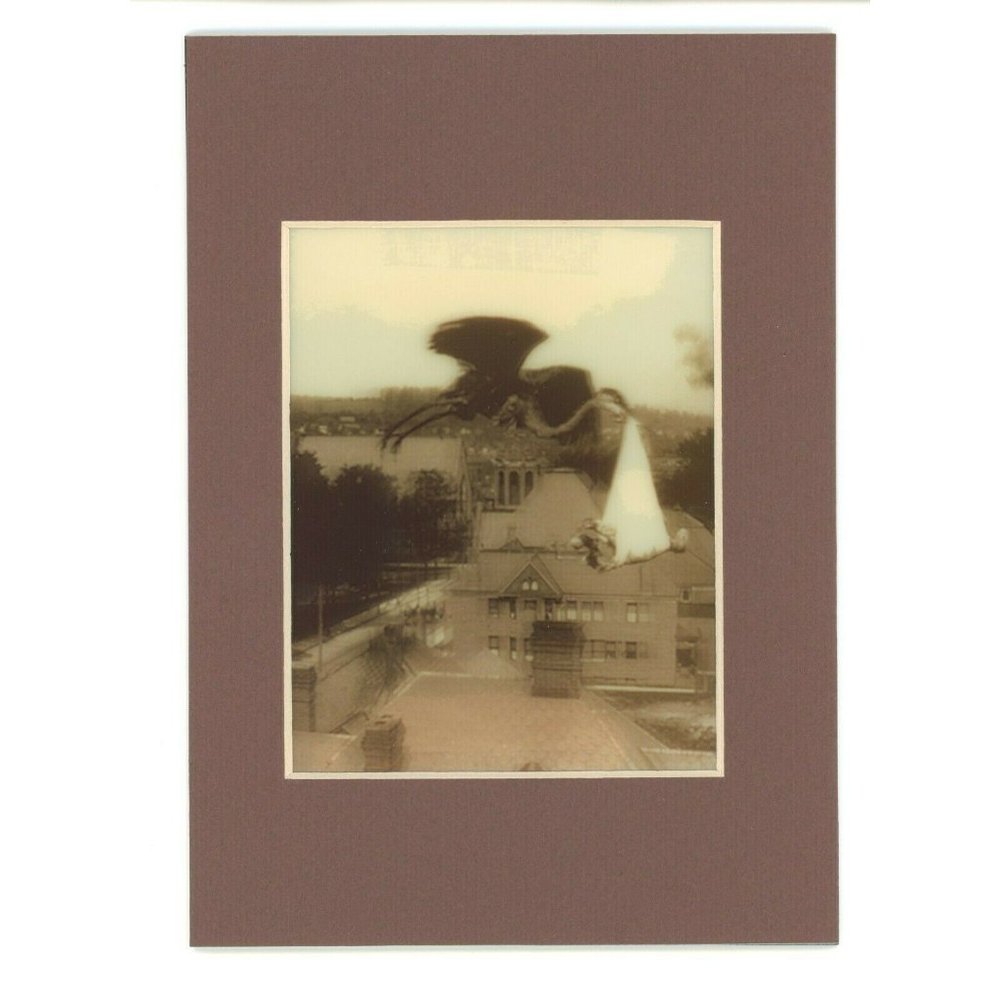 The Precious Parcel 1890 Stork Baby 3-d Photo Reprint Stereographic Arts 5x7‎